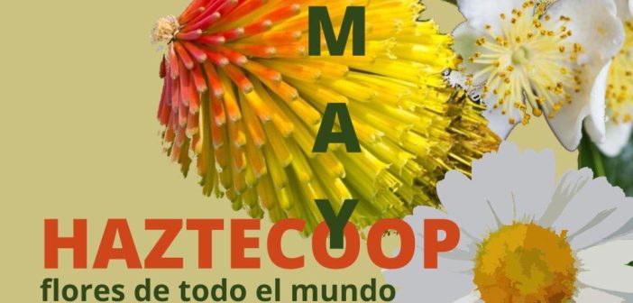 Unaquí participa en «Flores de todo el mundo Mayo 2024 – Haztecoop Huesca»
